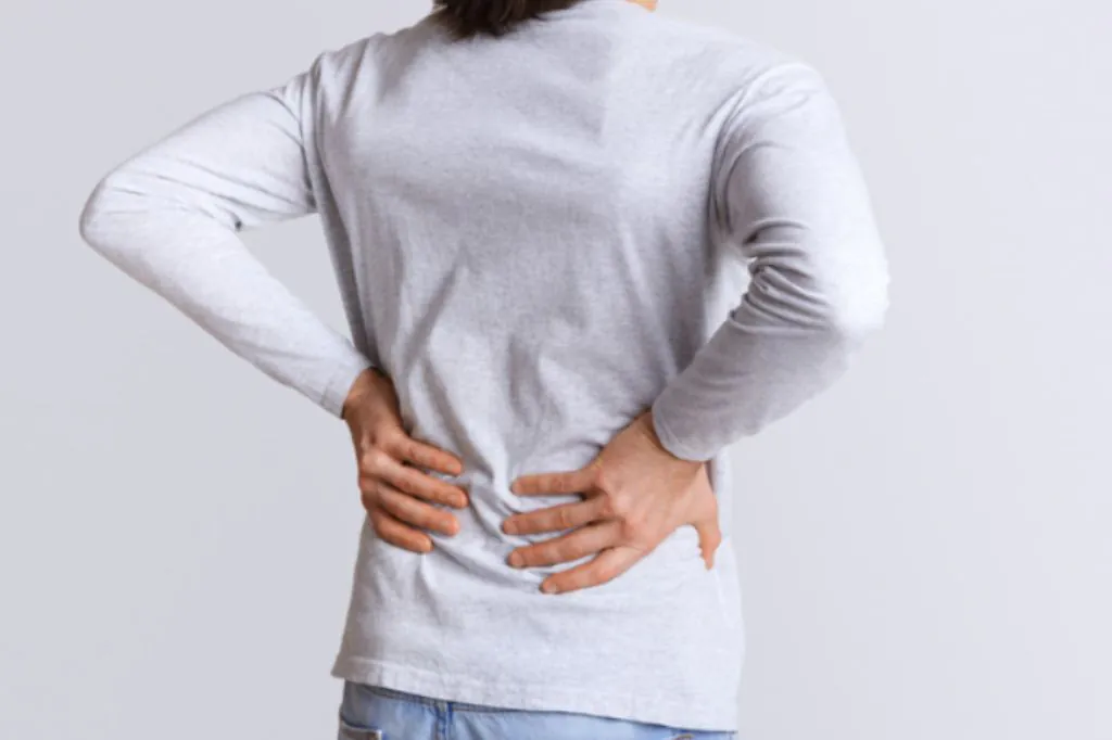 lower back pain Physiotherapist